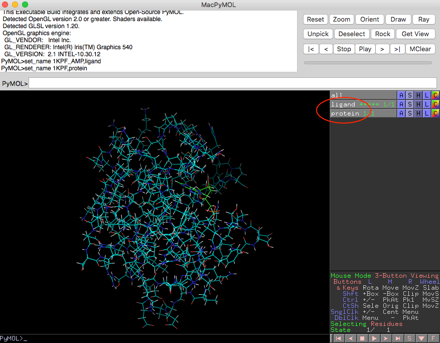 pymol tutorial command line